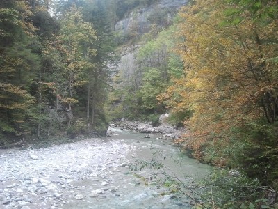 2013-10-04 08.57.29.jpg