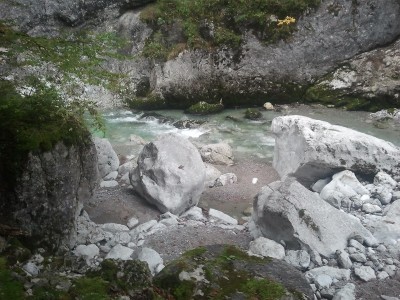 2013-10-04 09.01.27.jpg