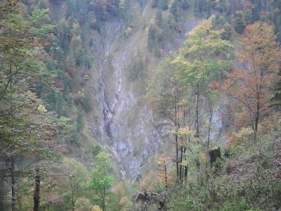 2013-10-04 09.24.42.jpg