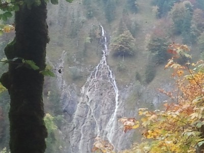 2013-10-04 09.25.22.jpg