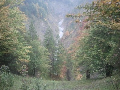 2013-10-04 09.39.29.jpg