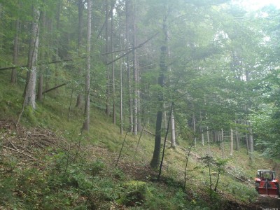 322_PA050149_75.JPG