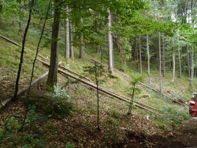 322_PA050152_75.JPG