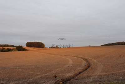 Bildla Nummä 001.jpg