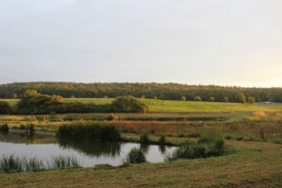 Bildla Nummä 004.jpg