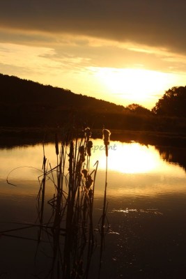 Bildla Nummä 009.jpg