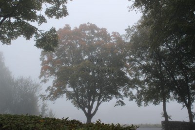 Bildla Nummä 010.jpg