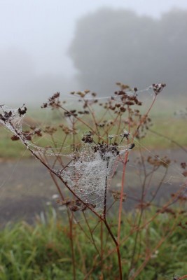 Bildla Nummä 012.jpg