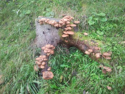 2013-10-07 10.28.26.jpg