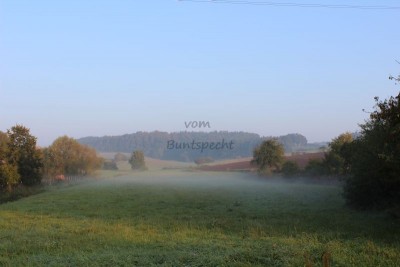 Bildla Nummä 002.jpg