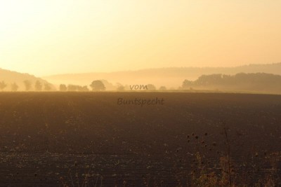 Bildla Nummä 011.jpg