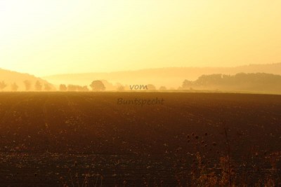 Bildla Nummä 013.jpg