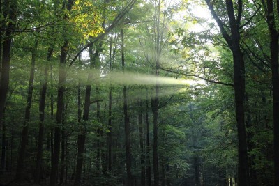 Bildla Nummä 017.jpg