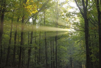 Bildla Nummä 018.jpg