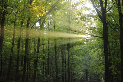 Bildla Nummä 019.jpg