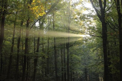 Bildla Nummä 020.jpg