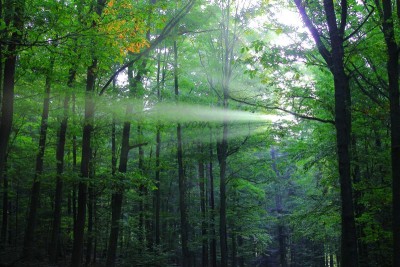 Bildla Nummä 021.jpg