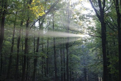 Bildla Nummä 022.jpg