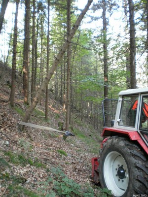 322_Umlenkpunkt_zu_schwach_PA080002_50.JPG