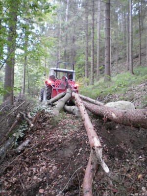 322_Stichstrasse_Ende_PA080009_50.JPG