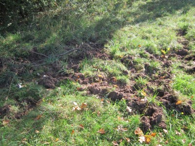 Bildla Nummä 002.jpg