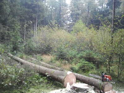 2013-10-09 16.31.59.jpg