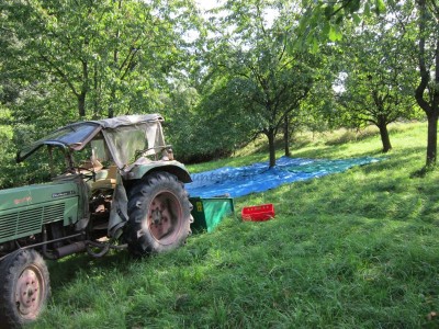 Bildla Nummä 002.jpg