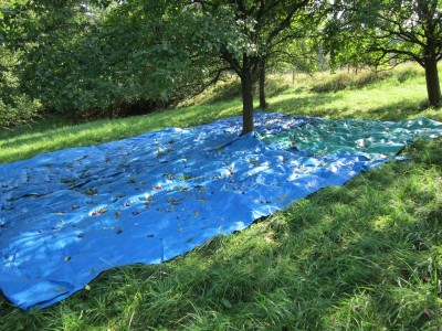 Bildla Nummä 003.jpg