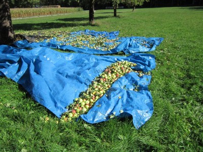 Bildla Nummä 006.jpg