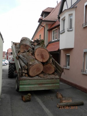 Holztraktor Kippen klein.jpg