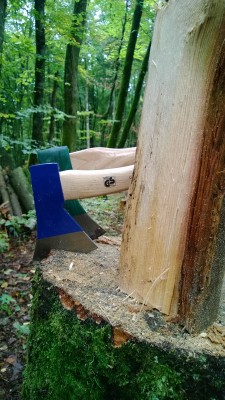 WP_20131012_003.jpg