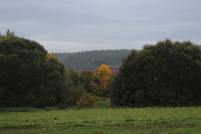 Bildla Nummä 002.jpg