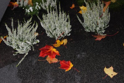 Bildla Nummä 005.jpg