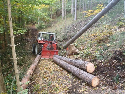 322_Lufthaenger_PA150004_75.JPG
