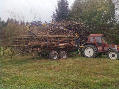 Bild1030.jpg