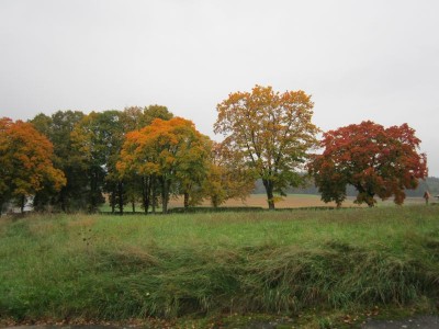 Bildla Nummä 001.jpg