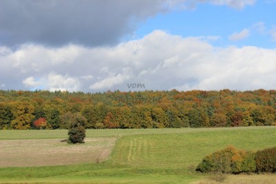 Bildla Nummä 003.jpg