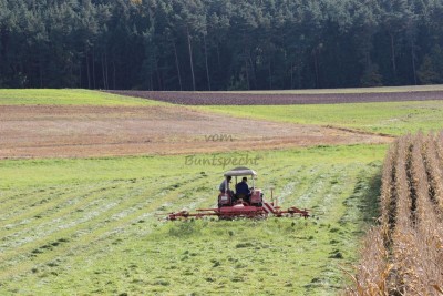 Bildla Nummä 004.jpg