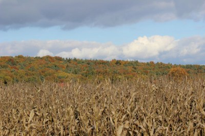 Bildla Nummä 007.jpg