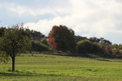 Bildla Nummä 009.jpg