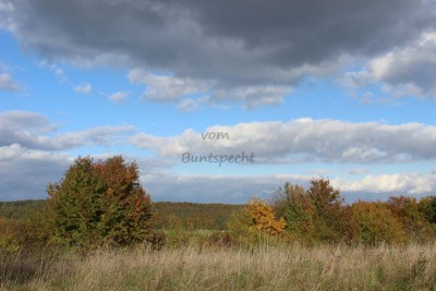 Bildla Nummä 017.jpg