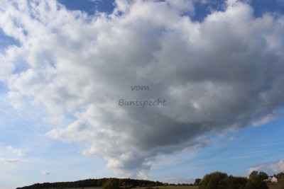 Bildla Nummä 021.jpg