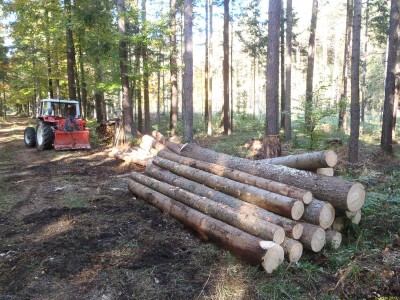 414_Blochholzpolter_PA180002_75.JPG