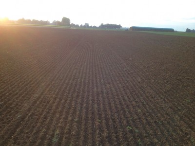 18.10.13 Weizen gesäet (2).jpg