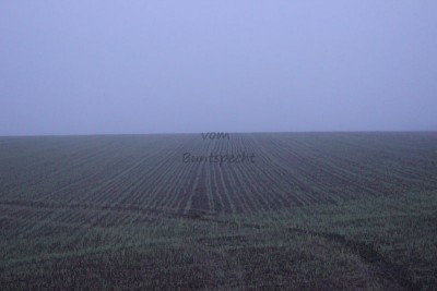 Bildla Nummä 001.jpg