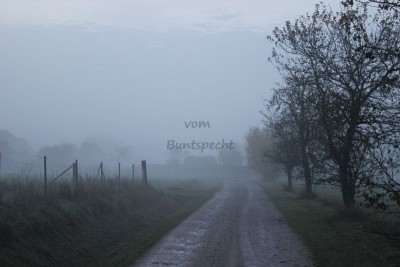 Bildla Nummä 006.jpg