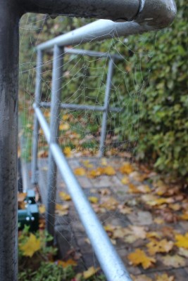 Bildla Nummä 012.jpg