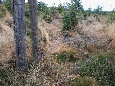 Foto0418b.jpg