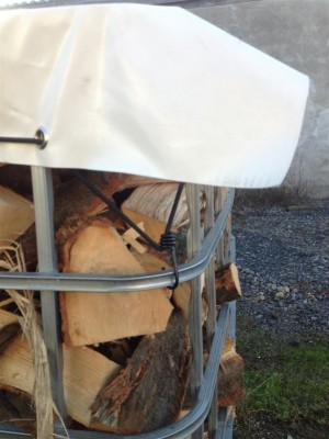 IMG_2220 (Large).jpg