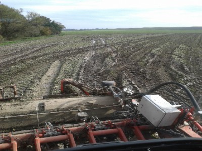 Rübenernte 2013.jpg